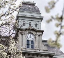 White flowering trees in front of the Hall of Languages bloom and frame the clock tower.