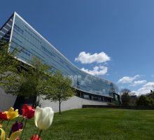 Image of Newhouse in the spring with flowers in the foreground