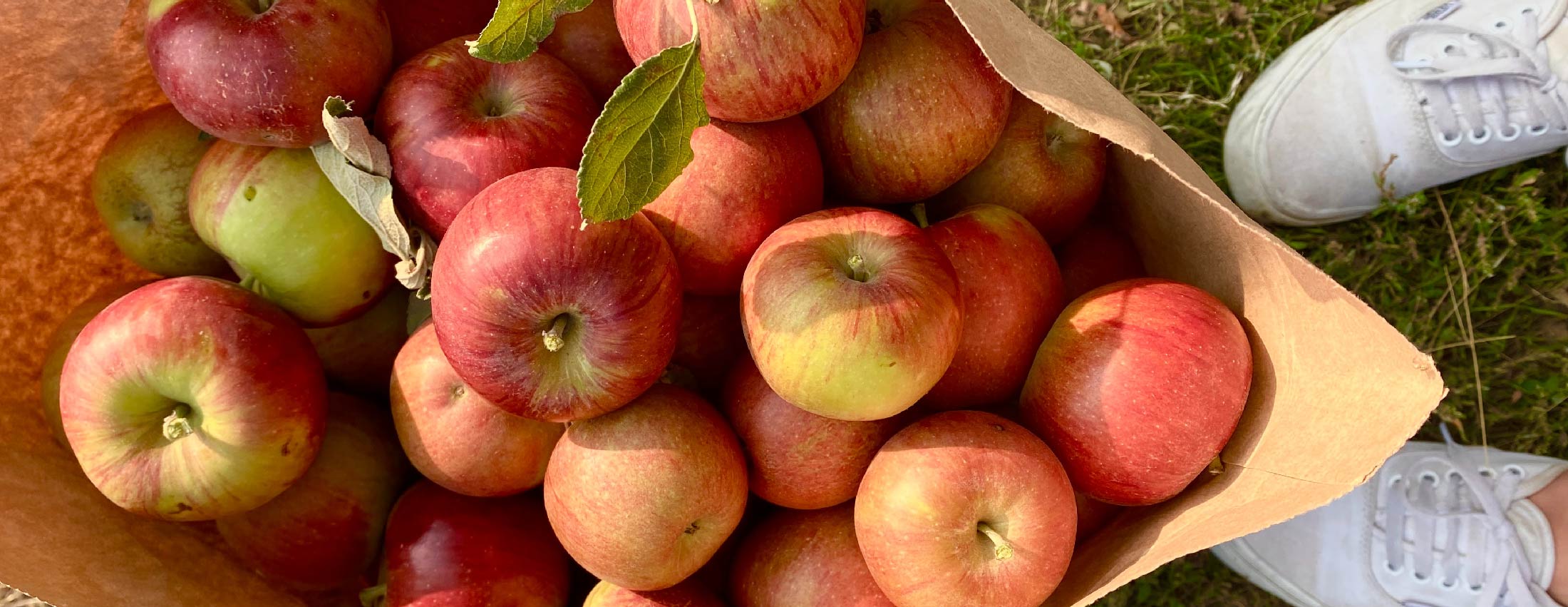 Sweet Septembers in Syracuse