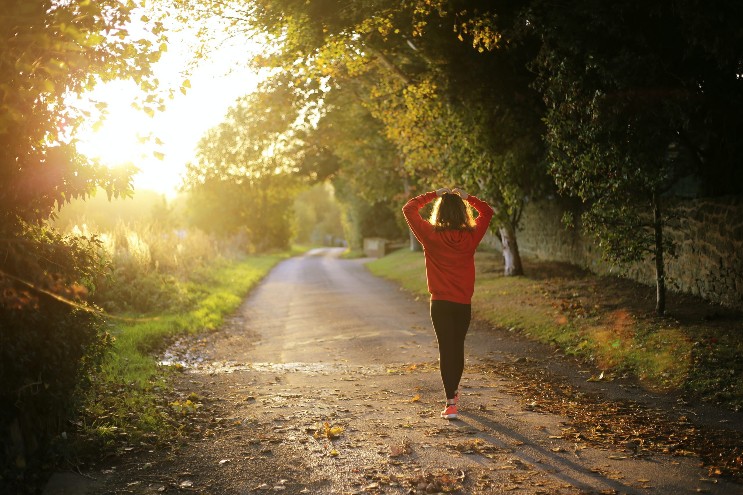 Girl takes a walk down a tree-lined path in the early evening sunlight.