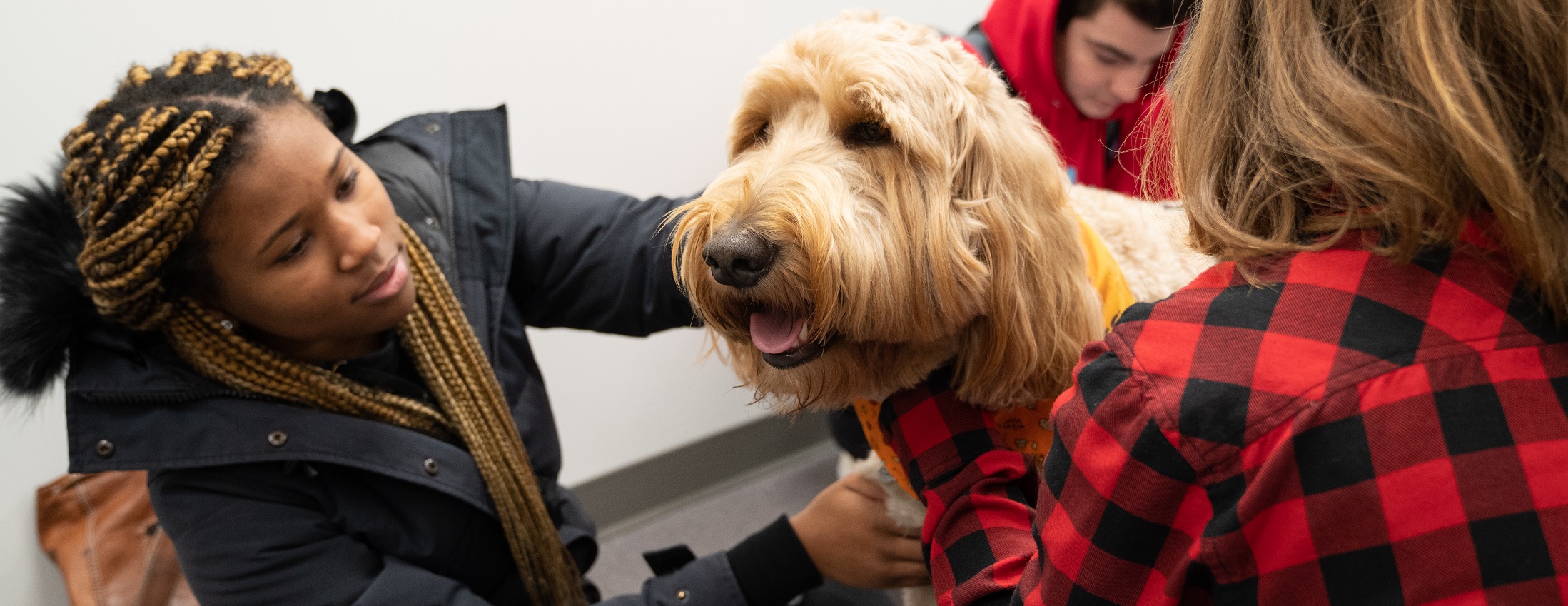Meet the Pet Therapy Pups
