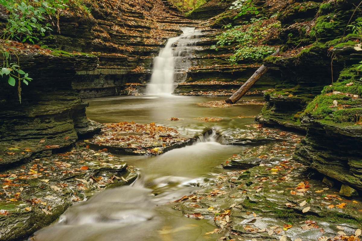 A small waterfall and creek in the woods
