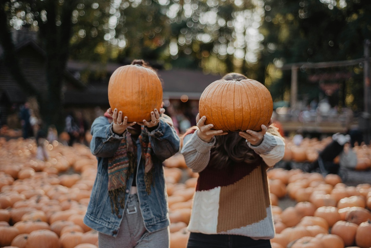 Two people pose for a photo in a pumpkin patch by hiding their faces behind the pumpkins they are holding.