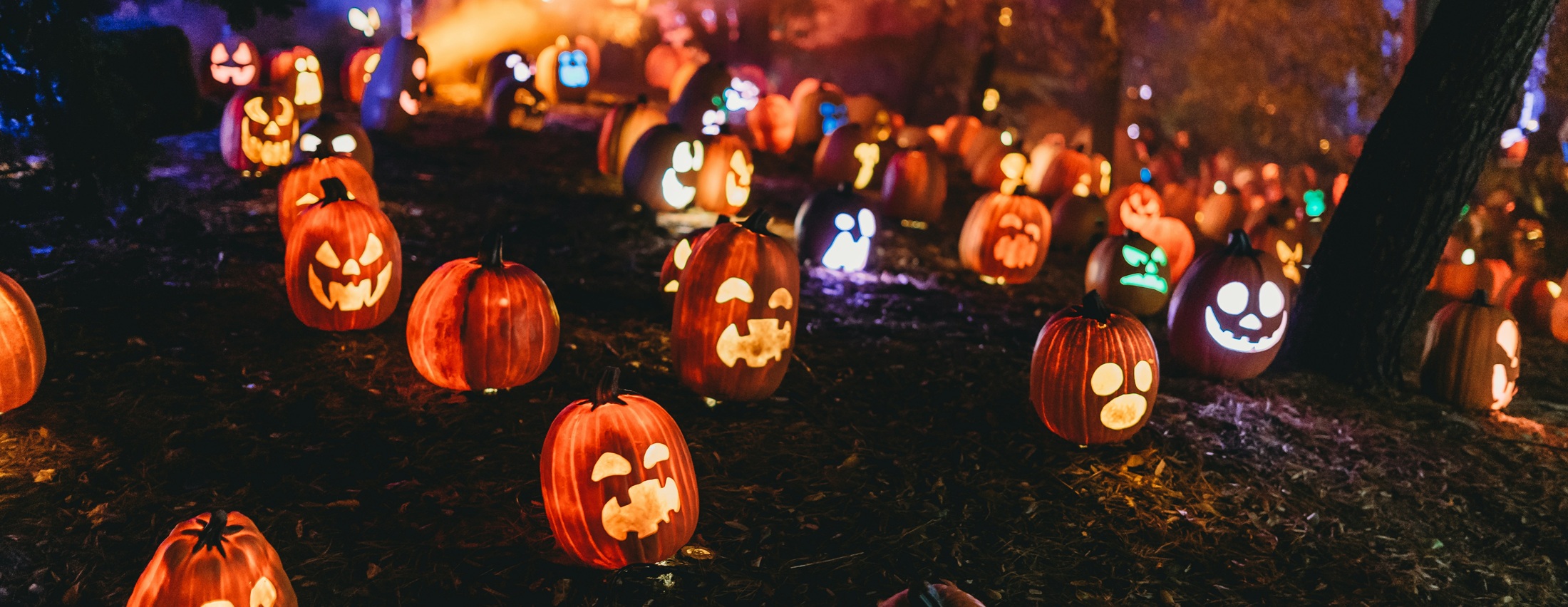 5 Off-Campus Activities to Haunt for Halloween