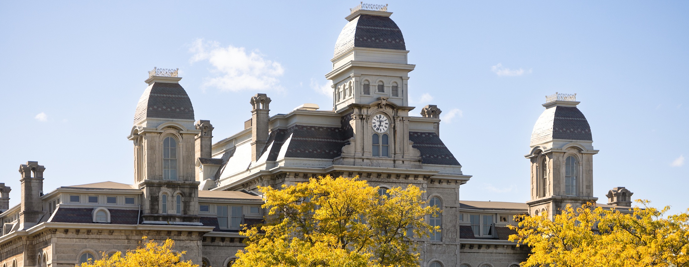 4 Reasons To Take the Orange Survey