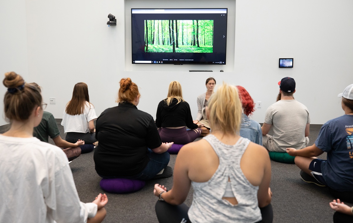 group of individuals taking a yoga class