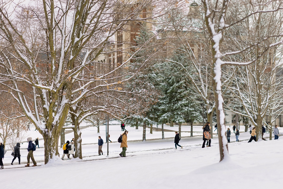 View of people walking on paths with snow and trees in winter