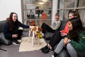 Students pet dog in pet therapy room