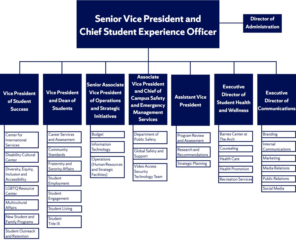 Organizational Structure for Student Experience Division