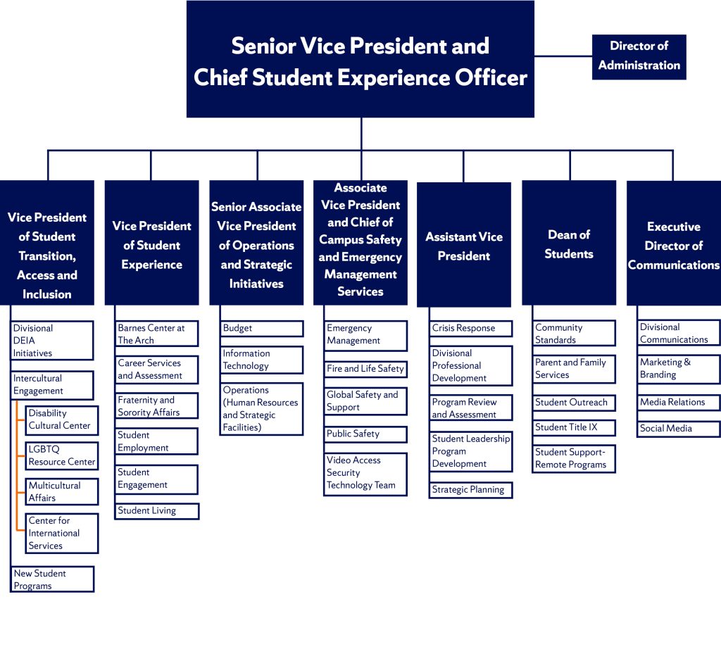 Organizational chart for the Student Experience Division