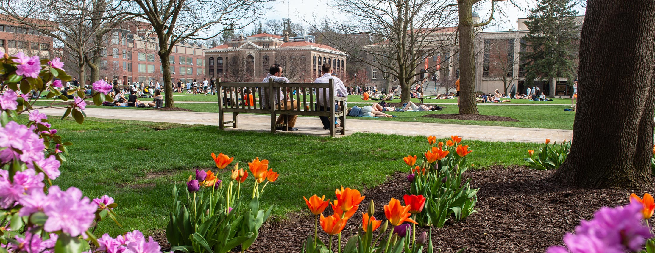 Spring - New Student Programs – Syracuse University